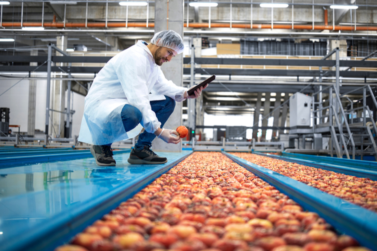 From farm to fork: Assessing warehousing needs across the food value chain