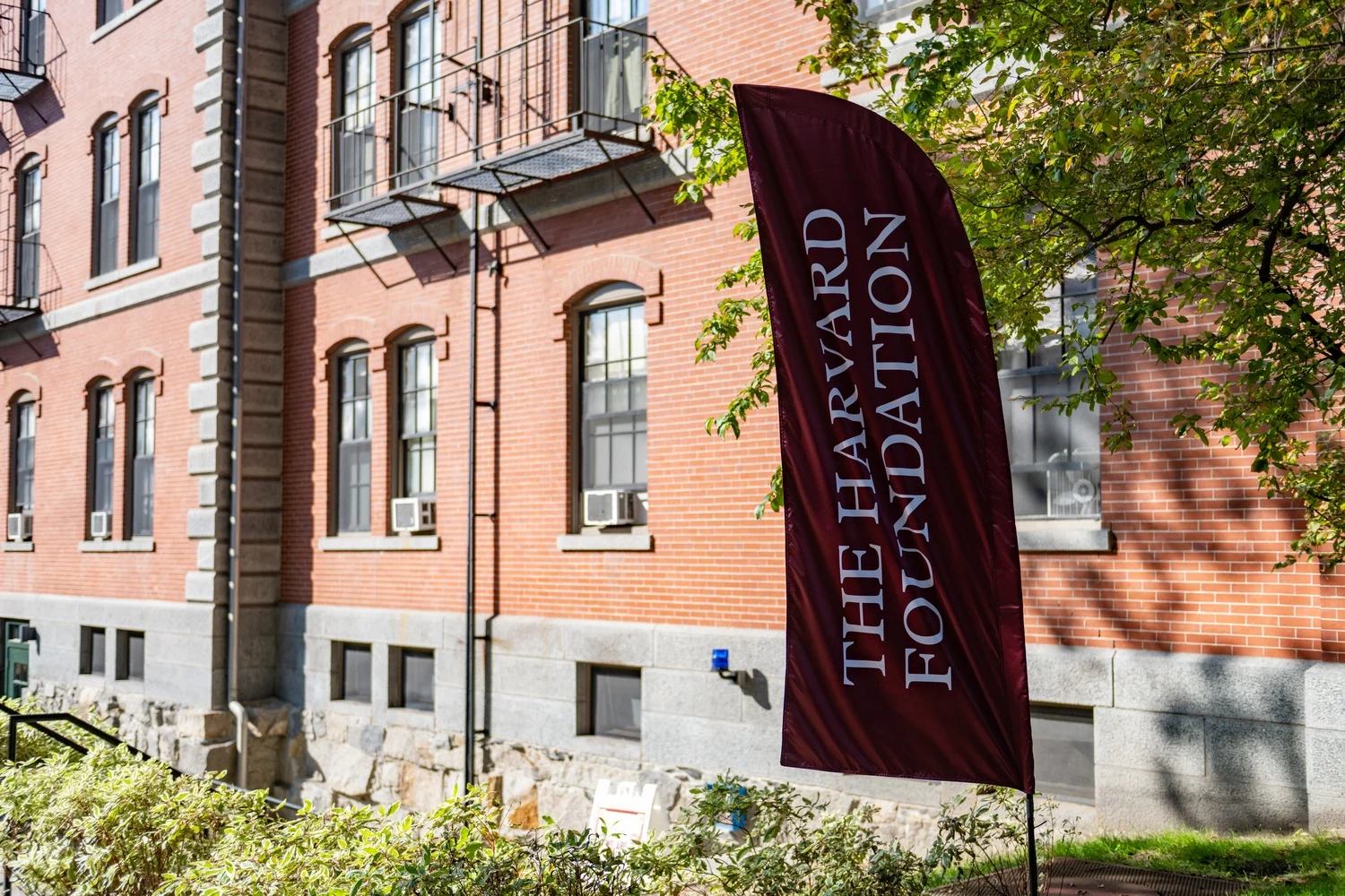 Expanding healthcare education: Aligning academic supply with clinical demand